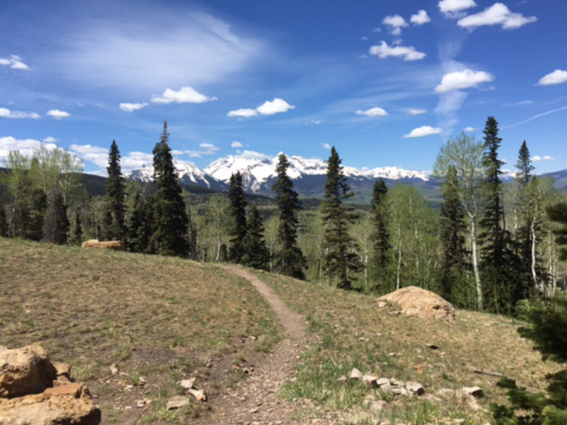 Views of Wilson Range.