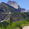 Iceberg Lake Trail, a deer is munching along the trail.