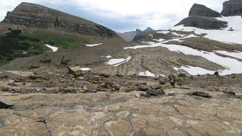 Grinnell Glacier past end of trail, Many Glacier area, Glacier National Park. with permission from phil h