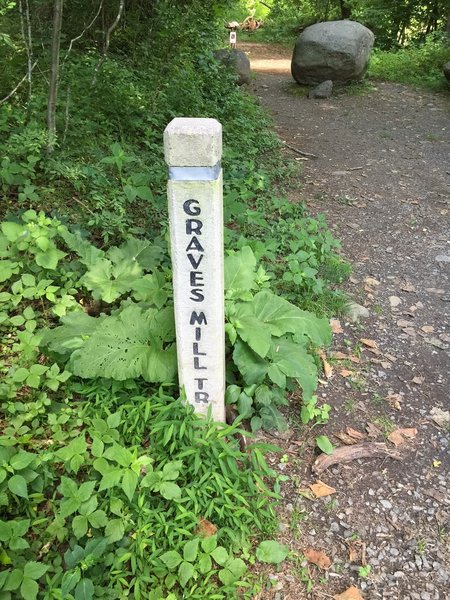 A trail post marking the Graves Mill Trail.