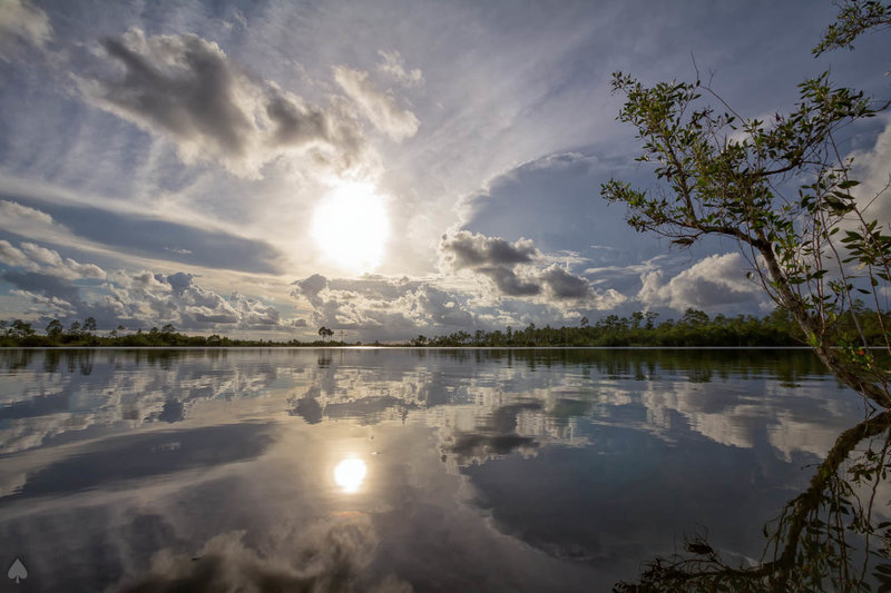 Pine Glades Lake