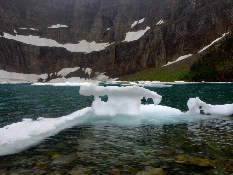 Late July iceburg on Iceburg Lake.