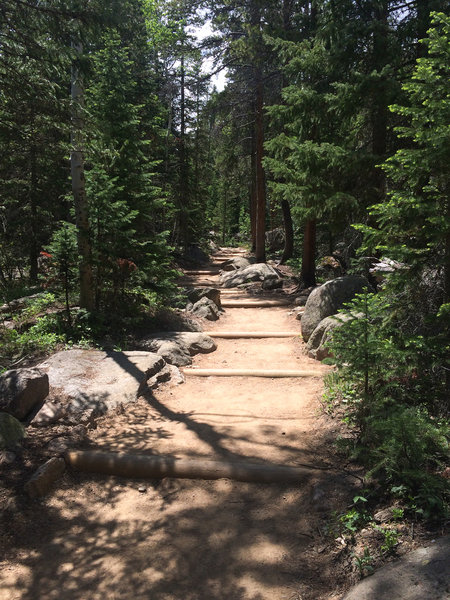 Well-maintained trail up to Ouzel Falls.