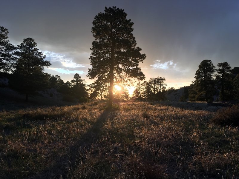 Sunset at Cold Creek campsite.