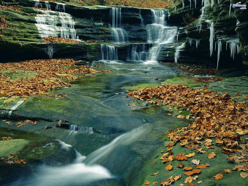 Waterfall leading down the canyon.