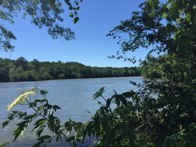 View of the river from the trail.