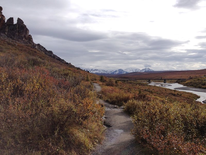 A fall hike alongside the wild and powerful Savage River with mountain visible in the distance.