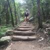 Hiking on the River Place Nature Trail in Austin, TX!