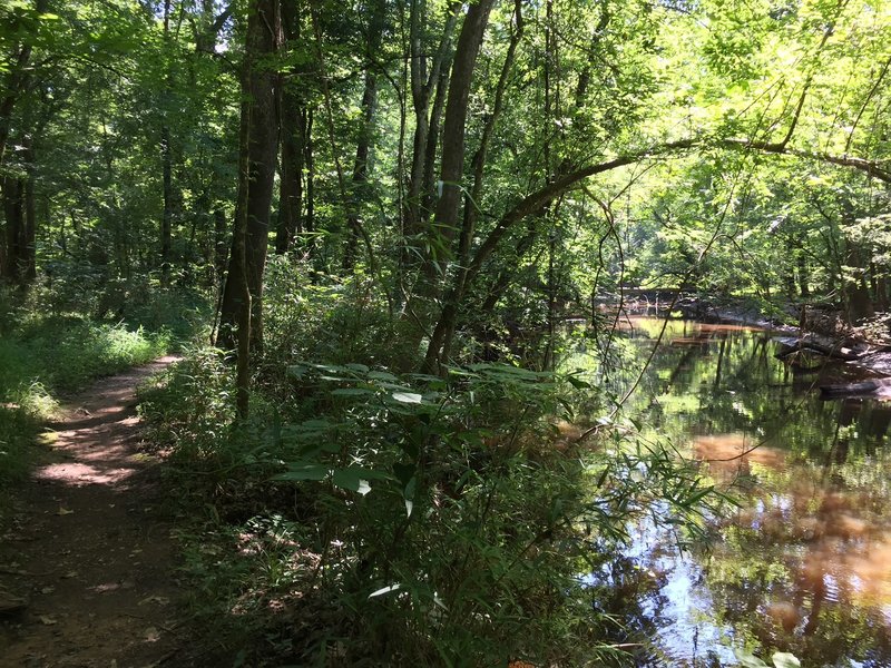 Along the backside of the trail