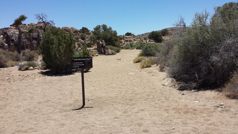 The beginning of the Pine City Trail is hard to see, but heads down into a wash.