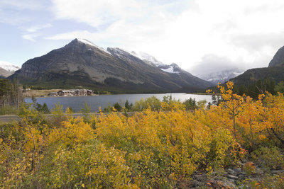 Looking across Swiftcurrent Lake from the Altyn/Henkel stretch of the old Ptarmigan Trail.