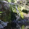 Cooper Canyon Falls in late spring.