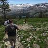 Descending Mt. Tallac toward Gilmore Lake; Jacks Peak, Dicks Peak, and the Desolation Wilderness in the distance.