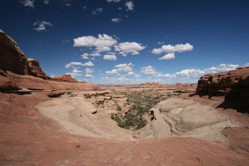 Needles District. with permission from Nick Terrett