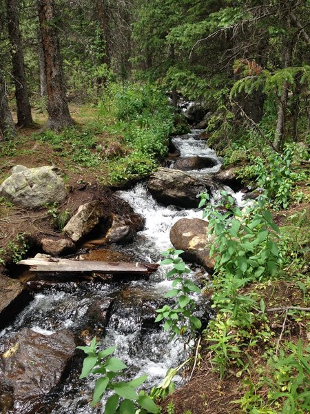 Tanglewood Creek.