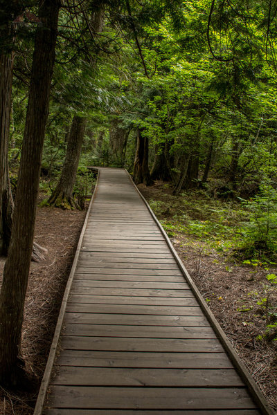 Trail of the Cedars. with permission from 100peaks 100peaks.com