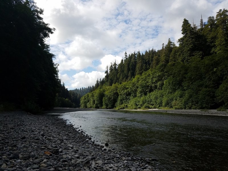 Looking up Redwood Creek.