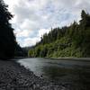 Looking up Redwood Creek.