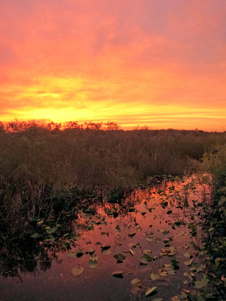 Sunset from Everglades National Park, Anhinga Trail.