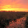 Sunset from Everglades National Park, Anhinga Trail.