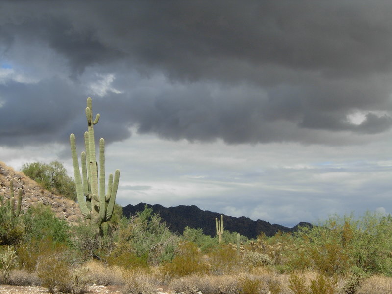 Storm clouds over White Tank Mountain Regional Park. with permission from Maricopa-County-Parks