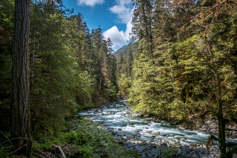 Skokomish River.