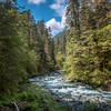 Skokomish River.