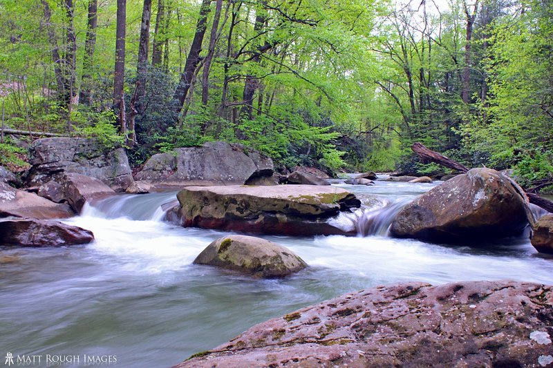 Much of the trail runs very close to beautiful sections of Decker's Creek.