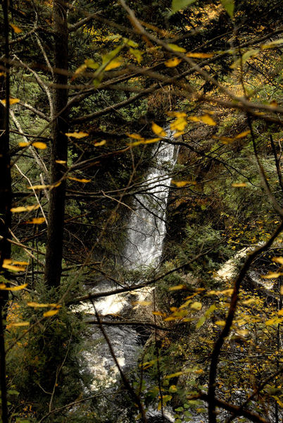 Raymondsville Falls through the autumn foliage. Photo taken and copyrighted by Hank Waxman. Used with permission.