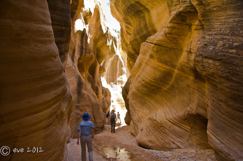 Willis Creek Canyon. with permission from walkaboutwest *No Commercial Use