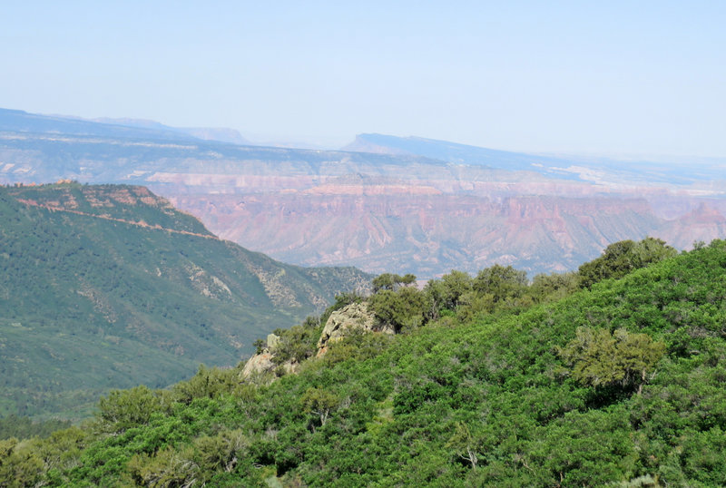 Views of The Palisade on the far side of Unaweep Canyon