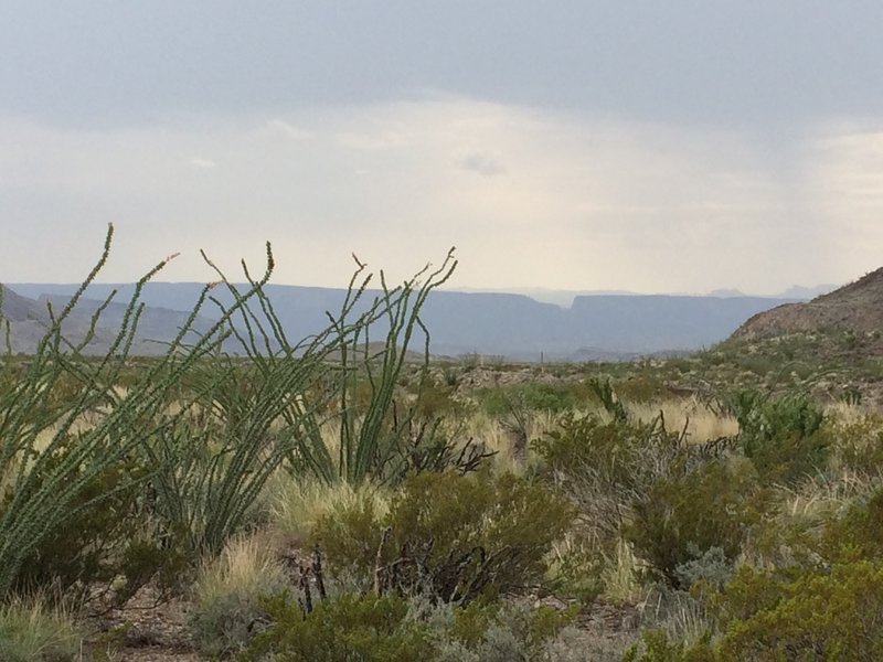 Santa Elena Canyon in the distance