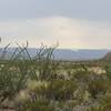 Santa Elena Canyon in the distance