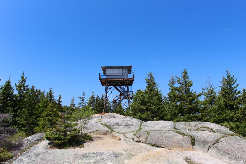 View of Beech Mtn Firetower.