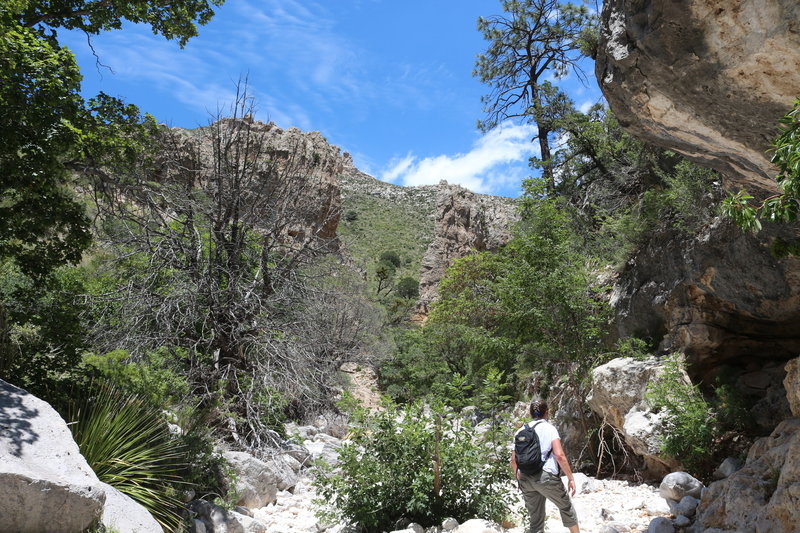 Hiking the wash following the cairns.