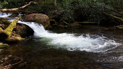 Hazel Creek in the Great Smoky Mountains National Park is one of