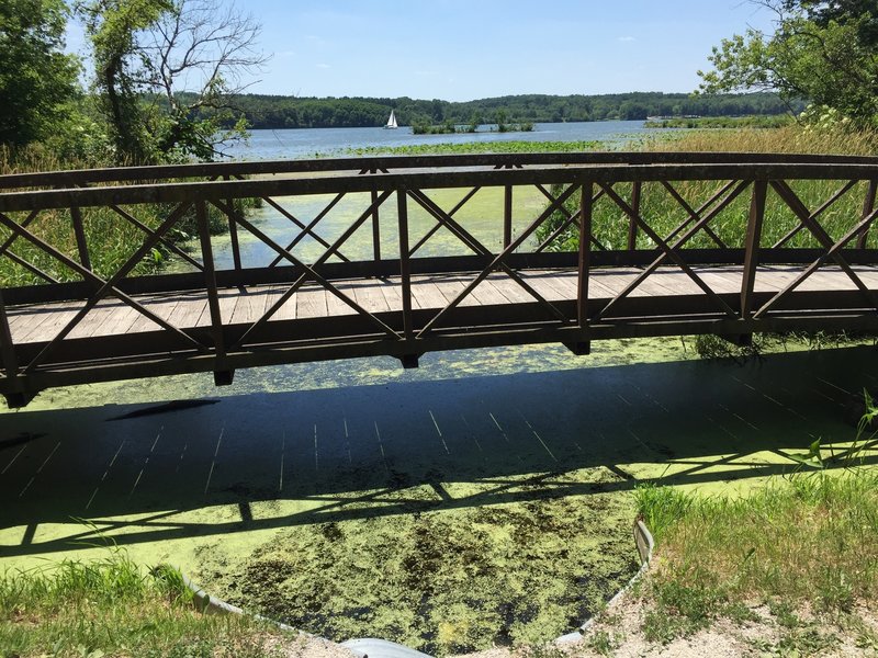 Footbridge on the North Shore Trail.