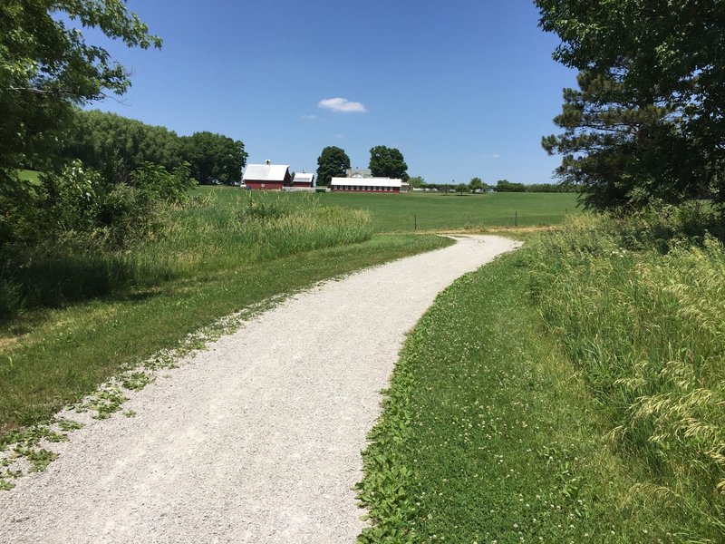 Just so you don't forget your in Iowa, there's a little bit of this kind of scenery on the North Shore Trail also.