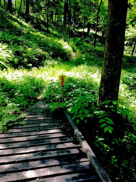 North Snowmobille Trail as it crosses a footbridge and then climbs out of a drainage.