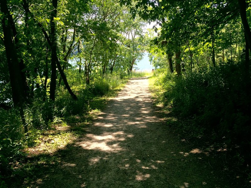 Beach to Dam Trail at Lake MacBride SP.