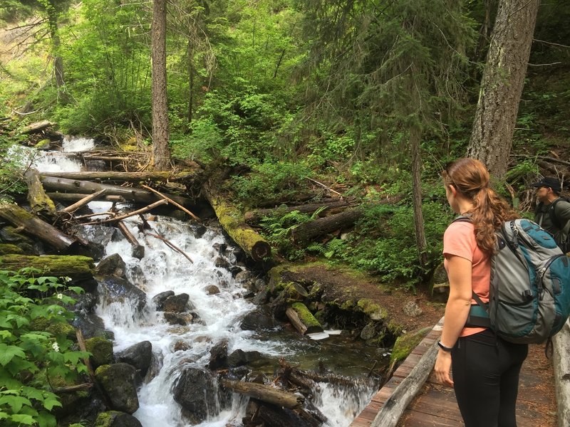 Chatter Creek, chattering away!