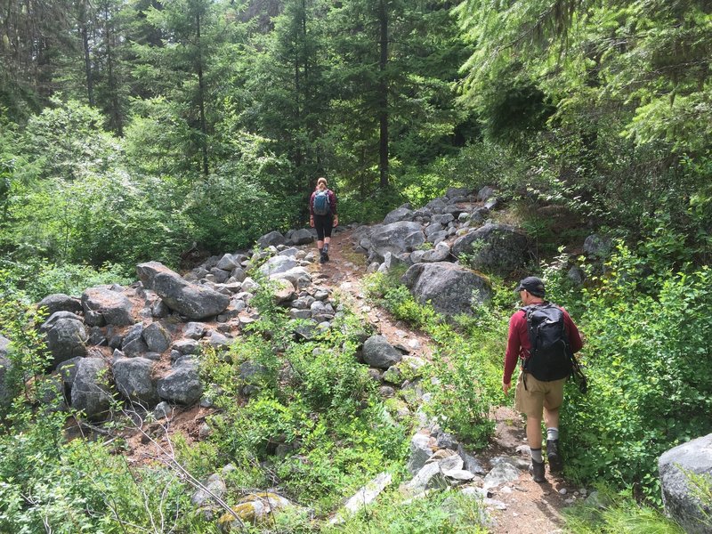 Heading up one of the few "flat" sections of Chatter Creek.