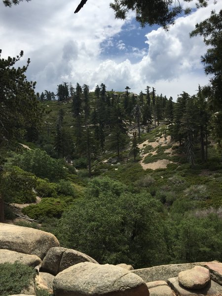 Looking up at the northern side of Keller Peak from the Exploration Trail.