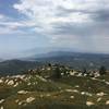 Looking across the San Bernardino Mts, at Mt. San Antonio (Baldy), in the San Gabriel Mts, from the Keller Peak Fire Lookout.