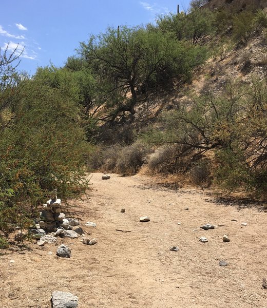 While this trail is geared for families, portion of the trail drop into a wash and signage is difficult to see.