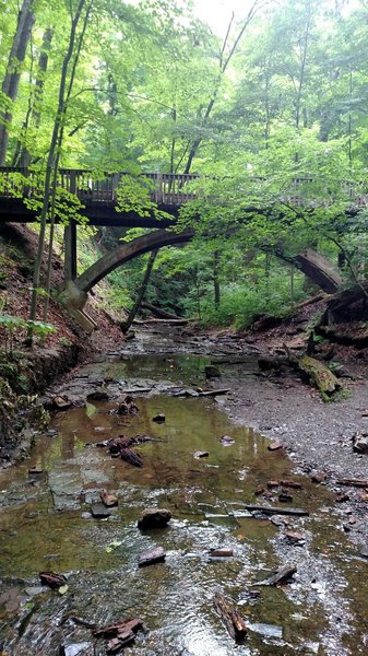 Some cool spots to offshoot from the trail to close to nature.