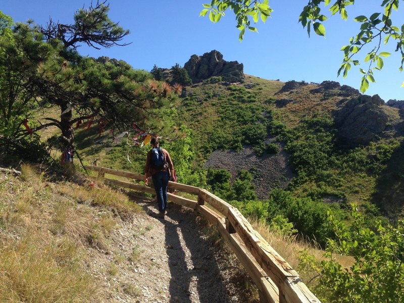 The bottom third or so of the trail is less exposed and offers a tiny bit of shade.