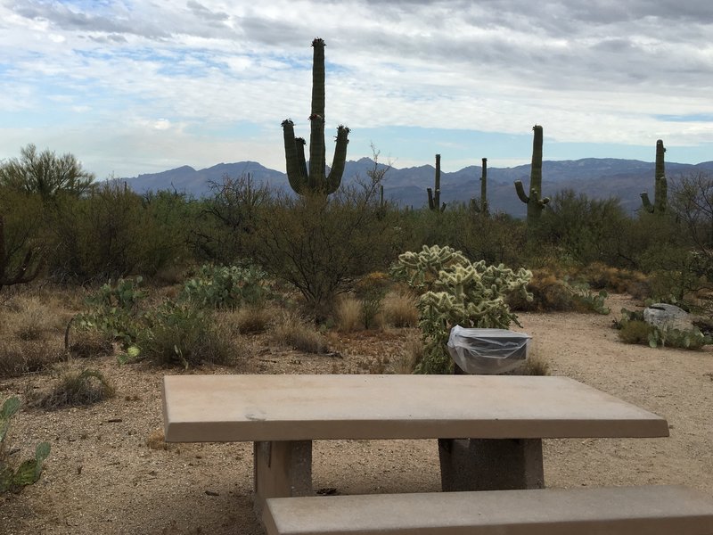 Mica View Picnic Area offers picnic tales and grills to relax after a hike.