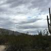 Early morning clouds above Tanque Verde Ridge as seen from Mica View Trail.