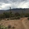 Morning clouds over Mica Mountain (on the left) and Tanque Verde Ridge (center).